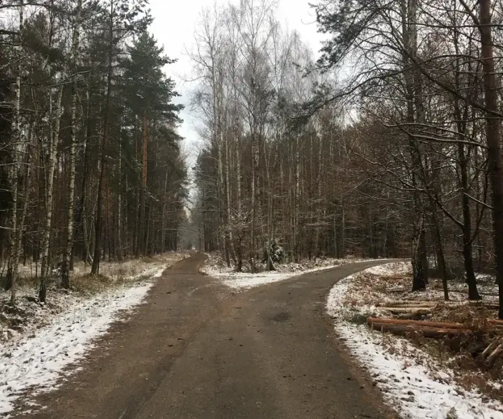Puszcza Dulowska trasy rowerowe - odkryj najlepsze szlaki i atrakcje