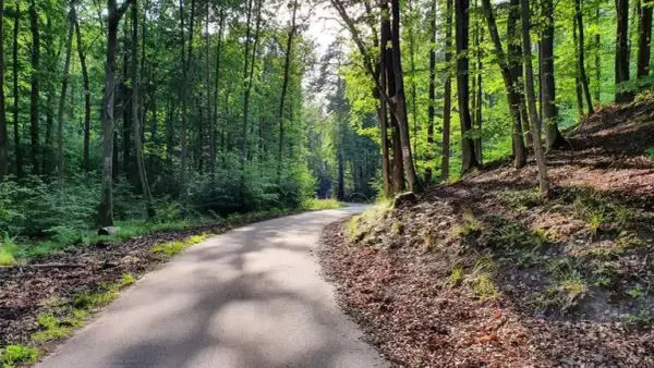 Najlepsze trasy rowerowe w Gdańsku – odkryj ukryte skarby miasta